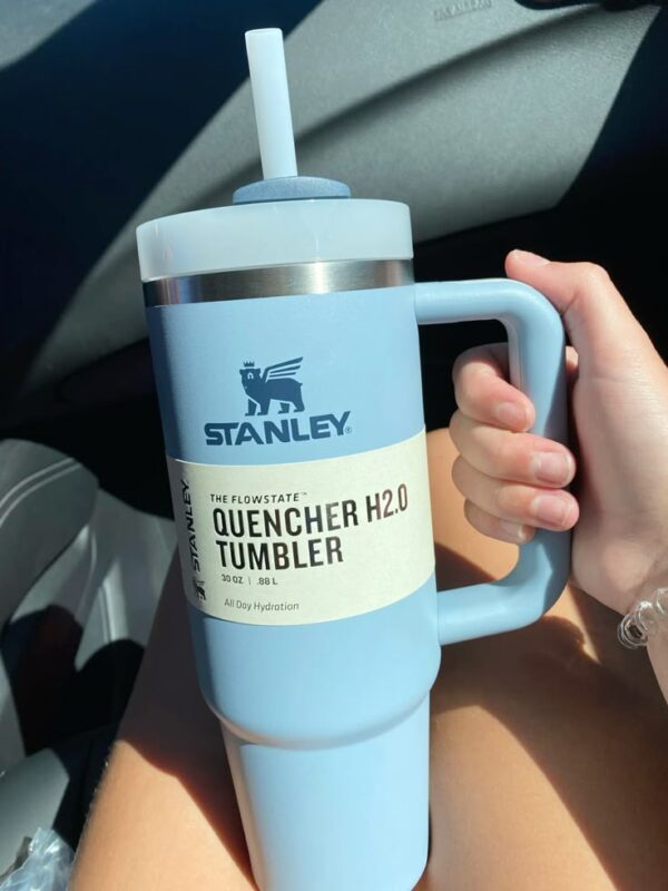 Stanley H2.0 Flip Straw Stainless Steel Mug With Straw Cover