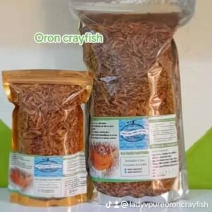 Oron Crayfish - Small and Big Sizes